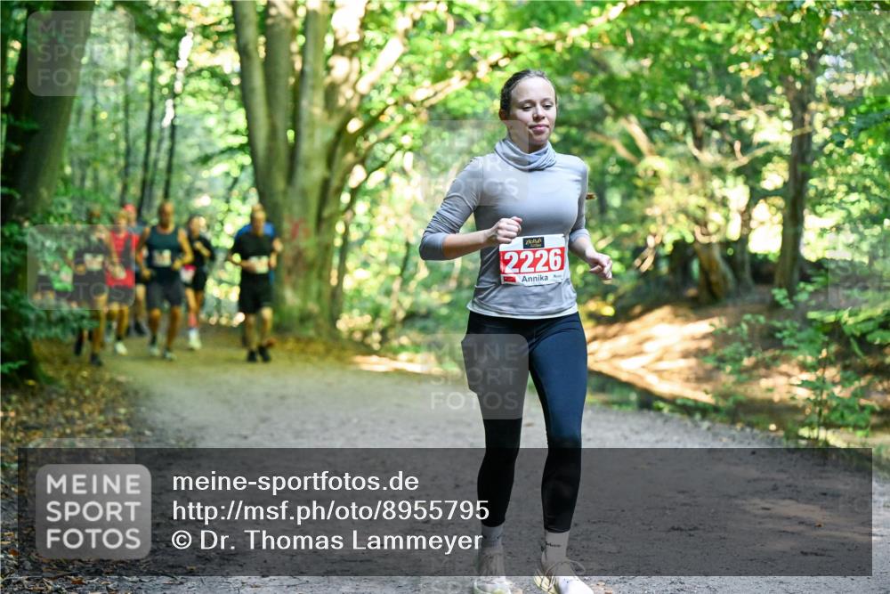 28.09.2025 - 33. Volkslauf durch das schöne Alstertal Dr. Thomas Lammeyer http://msf.ph/oto/8955795 28.09.2025 10:42:43 Laufen 2226 meine-sportfotos.de