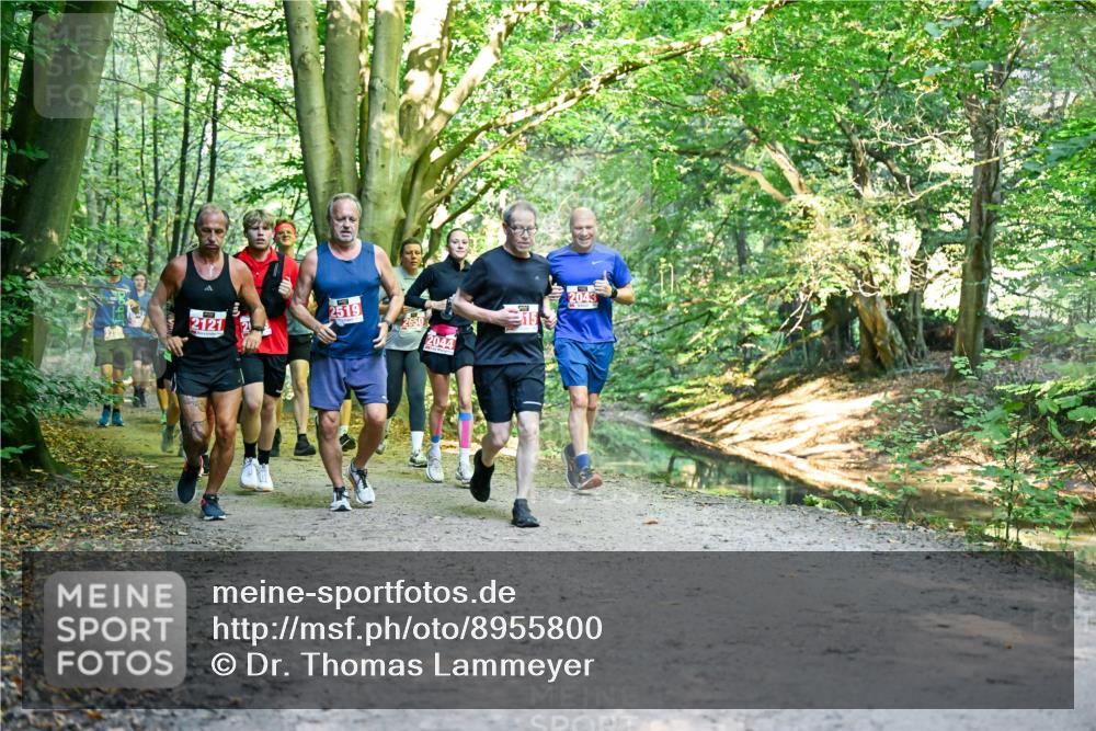 28.09.2025 - 33. Volkslauf durch das schöne Alstertal Dr. Thomas Lammeyer http://msf.ph/oto/8955800 28.09.2025 10:42:46 Laufen 2121, 2519, 2650, 2044, 2043 meine-sportfotos.de