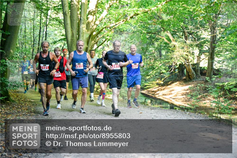 28.09.2025 - 33. Volkslauf durch das schöne Alstertal Dr. Thomas Lammeyer http://msf.ph/oto/8955803 28.09.2025 10:42:46 Laufen 2121, 2073, 2519, 650, 2044, 2415, 2043 meine-sportfotos.de