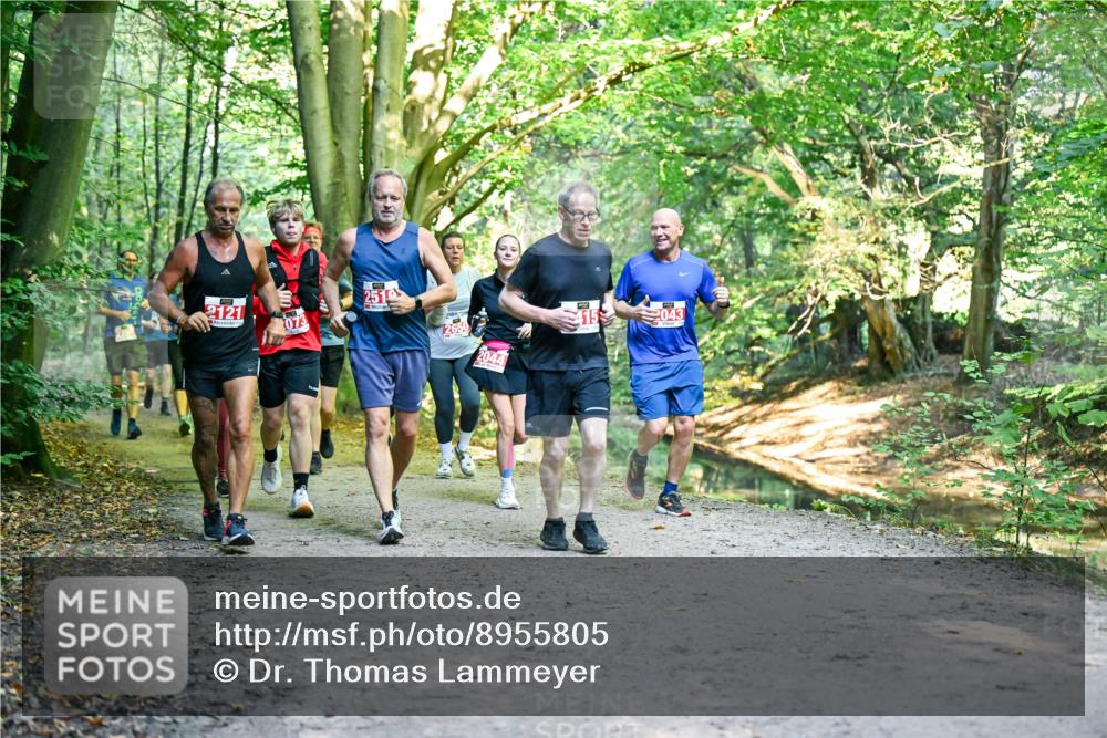 28.09.2025 - 33. Volkslauf durch das schöne Alstertal Dr. Thomas Lammeyer http://msf.ph/oto/8955805 28.09.2025 10:42:47 Laufen 2121, 073, 2519, 2650, 2044, 2043 meine-sportfotos.de