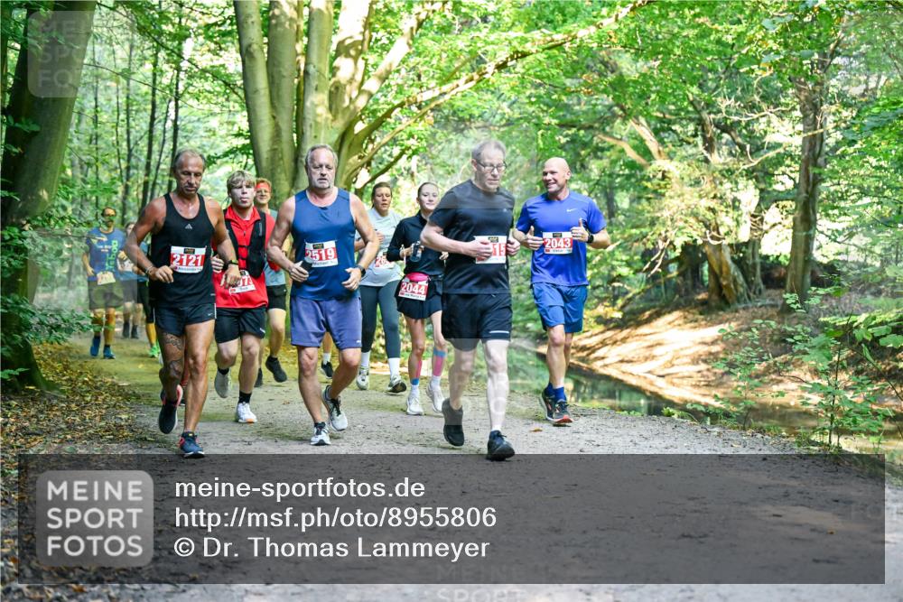 28.09.2025 - 33. Volkslauf durch das schöne Alstertal Dr. Thomas Lammeyer http://msf.ph/oto/8955806 28.09.2025 10:42:47 Laufen 2121, 73, 2519, 2044, 2043 meine-sportfotos.de