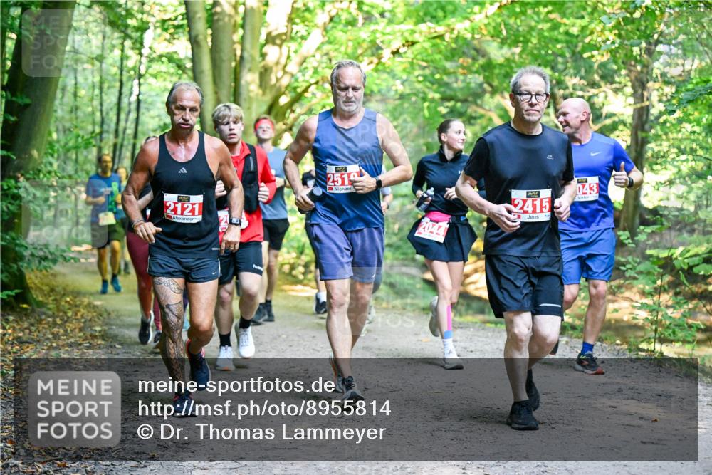 28.09.2025 - 33. Volkslauf durch das schöne Alstertal Dr. Thomas Lammeyer http://msf.ph/oto/8955814 28.09.2025 10:42:48 Laufen 2121, 251, 2044, 043, 2415 meine-sportfotos.de