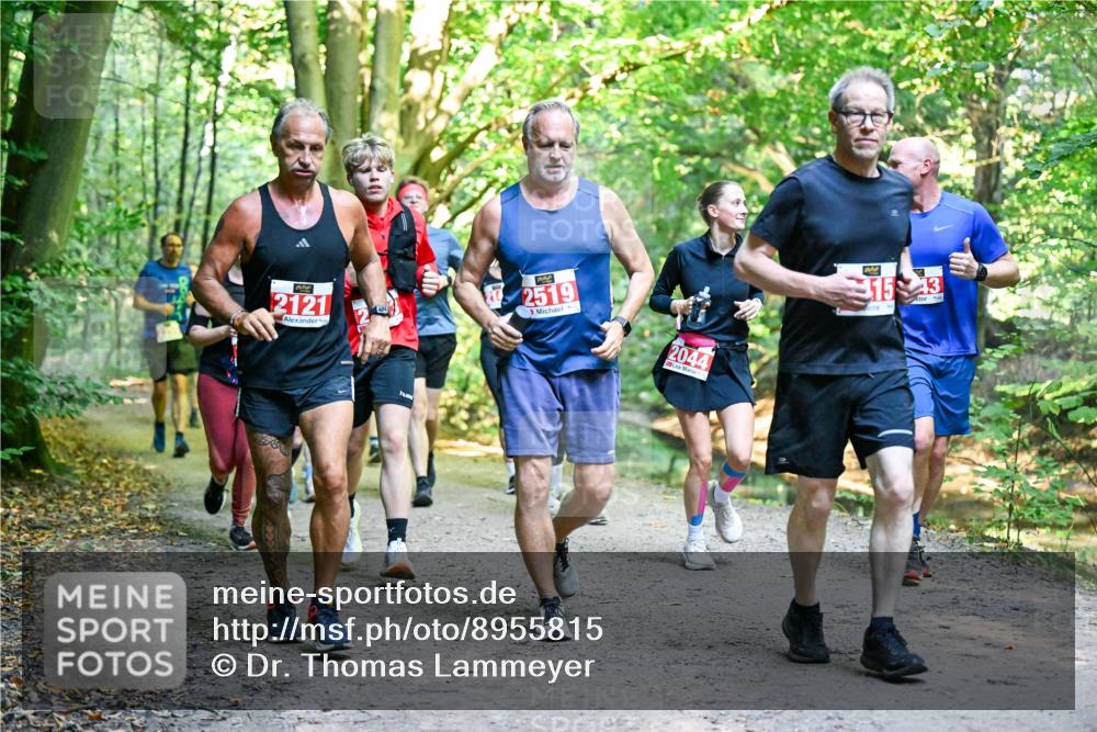 28.09.2025 - 33. Volkslauf durch das schöne Alstertal Dr. Thomas Lammeyer http://msf.ph/oto/8955815 28.09.2025 10:42:48 Laufen 2121, 2519, 1, 2044, 1543 meine-sportfotos.de