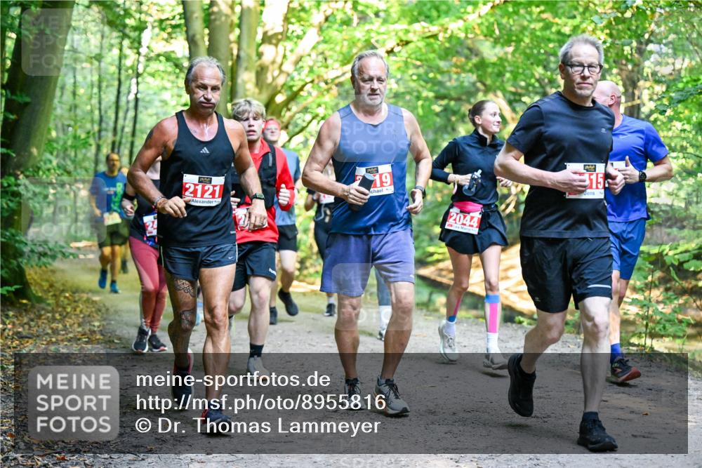 28.09.2025 - 33. Volkslauf durch das schöne Alstertal Dr. Thomas Lammeyer http://msf.ph/oto/8955816 28.09.2025 10:42:48 Laufen 2121, 19, 2044, 15 meine-sportfotos.de