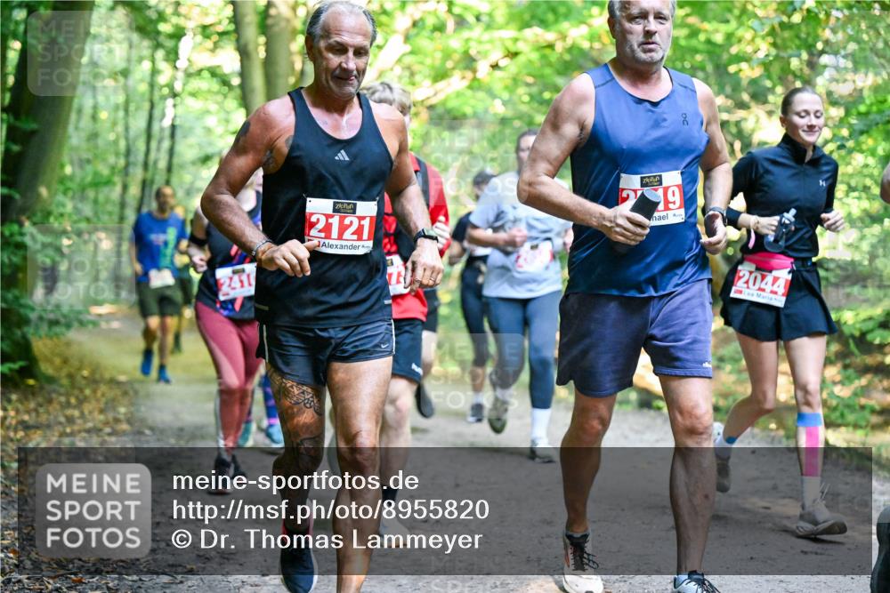 28.09.2025 - 33. Volkslauf durch das schöne Alstertal Dr. Thomas Lammeyer http://msf.ph/oto/8955820 28.09.2025 10:42:49 Laufen 241, 2121, 19, 2044 meine-sportfotos.de