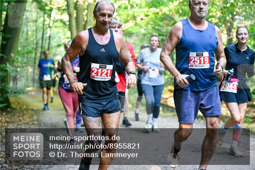 28.09.2025 - 33. Volkslauf durch das schöne Alstertal Dr. Thomas Lammeyer http://msf.ph/oto/8955821 28.09.2025 10:42:49 Laufen 2121, 2519, 2044 meine-sportfotos.de