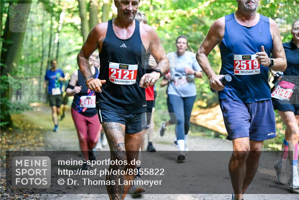 28.09.2025 - 33. Volkslauf durch das schöne Alstertal Dr. Thomas Lammeyer http://msf.ph/oto/8955822 28.09.2025 10:42:49 Laufen 2410, 2121, 2519, 2044 meine-sportfotos.de
