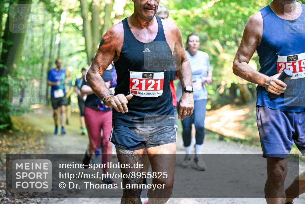 28.09.2025 - 33. Volkslauf durch das schöne Alstertal Dr. Thomas Lammeyer http://msf.ph/oto/8955825 28.09.2025 10:42:50 Laufen 2121, 2519 meine-sportfotos.de