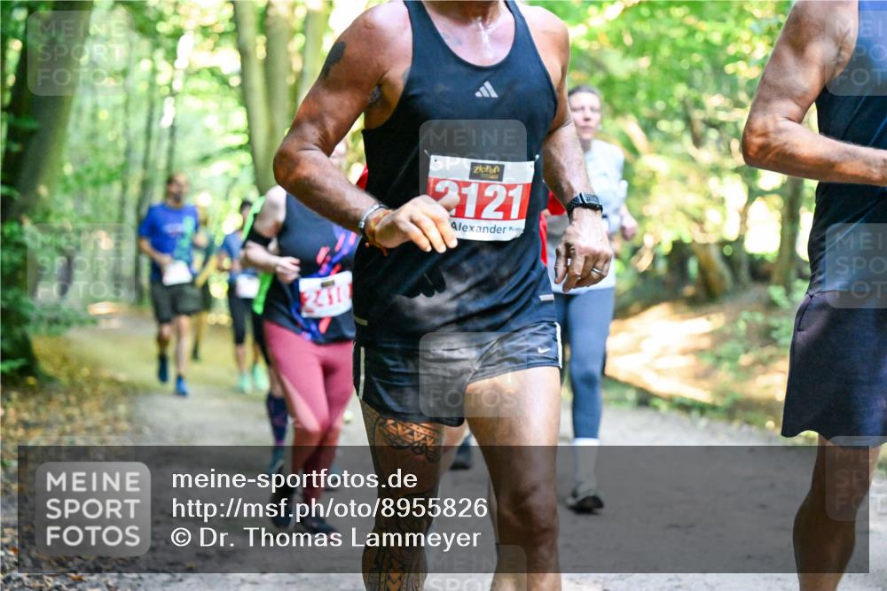 28.09.2025 - 33. Volkslauf durch das schöne Alstertal Dr. Thomas Lammeyer http://msf.ph/oto/8955826 28.09.2025 10:42:50 Laufen 241, 2121 meine-sportfotos.de