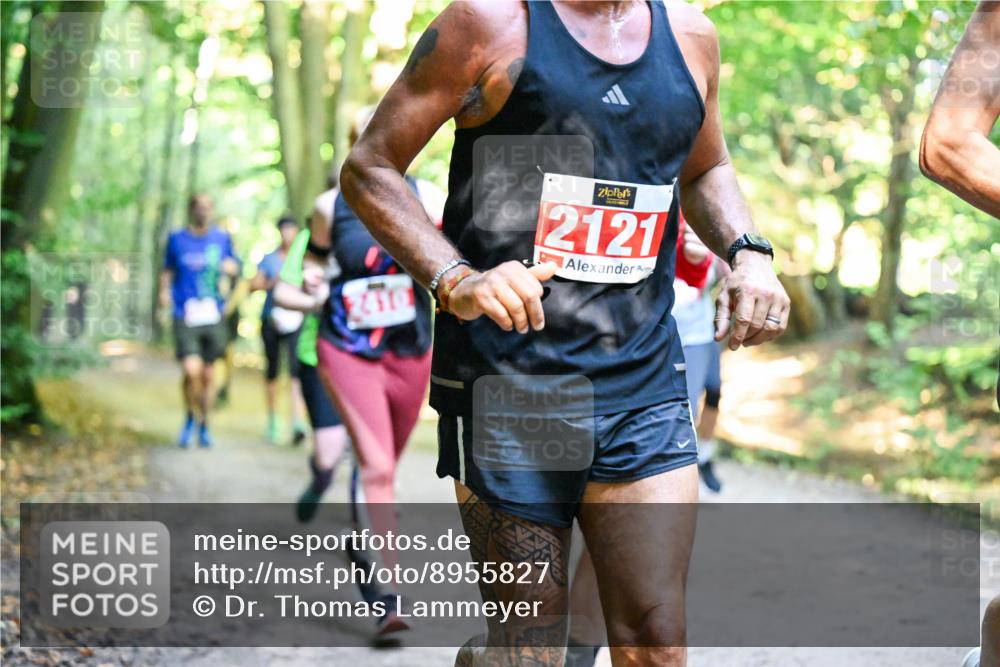 28.09.2025 - 33. Volkslauf durch das schöne Alstertal Dr. Thomas Lammeyer http://msf.ph/oto/8955827 28.09.2025 10:42:50 Laufen 2410, 2121 meine-sportfotos.de