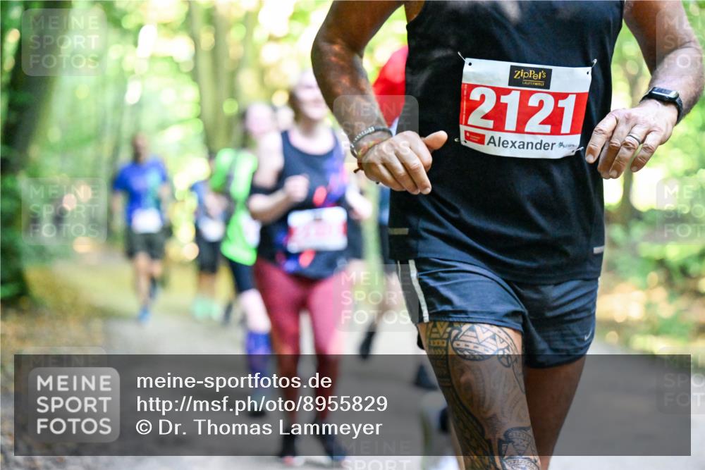28.09.2025 - 33. Volkslauf durch das schöne Alstertal Dr. Thomas Lammeyer http://msf.ph/oto/8955829 28.09.2025 10:42:50 Laufen 1337, 2121 meine-sportfotos.de