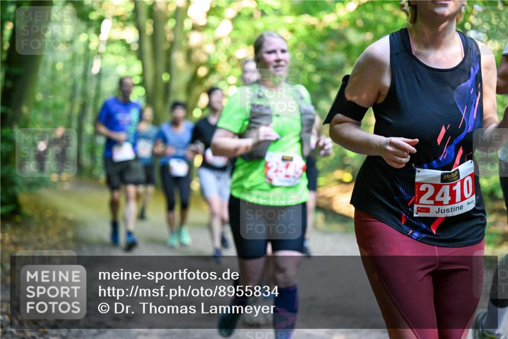 28.09.2025 - 33. Volkslauf durch das schöne Alstertal Dr. Thomas Lammeyer http://msf.ph/oto/8955834 28.09.2025 10:42:51 Laufen 2410 meine-sportfotos.de