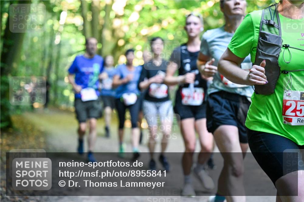 28.09.2025 - 33. Volkslauf durch das schöne Alstertal Dr. Thomas Lammeyer http://msf.ph/oto/8955841 28.09.2025 10:42:52 Laufen 25 meine-sportfotos.de