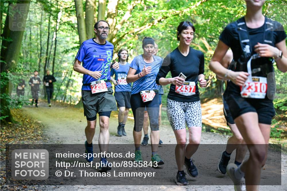 28.09.2025 - 33. Volkslauf durch das schöne Alstertal Dr. Thomas Lammeyer http://msf.ph/oto/8955843 28.09.2025 10:42:53 Laufen 10, 2259, 2437, 2260, 2310 meine-sportfotos.de