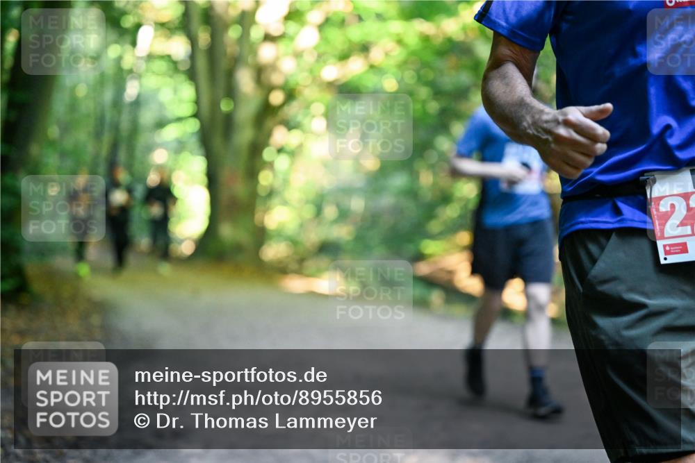28.09.2025 - 33. Volkslauf durch das schöne Alstertal Dr. Thomas Lammeyer http://msf.ph/oto/8955856 28.09.2025 10:42:55 Laufen 2 meine-sportfotos.de