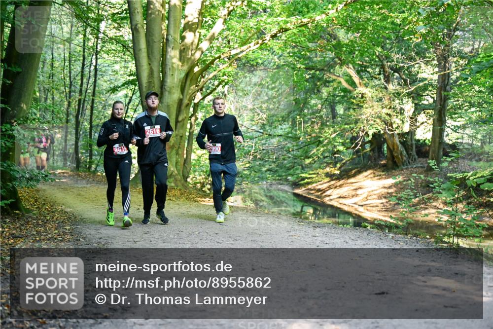 28.09.2025 - 33. Volkslauf durch das schöne Alstertal Dr. Thomas Lammeyer http://msf.ph/oto/8955862 28.09.2025 10:42:58 Laufen 2615, 2616, 990 meine-sportfotos.de