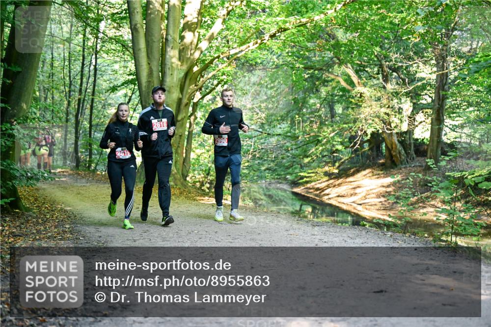 28.09.2025 - 33. Volkslauf durch das schöne Alstertal Dr. Thomas Lammeyer http://msf.ph/oto/8955863 28.09.2025 10:42:58 Laufen 2616, 2990 meine-sportfotos.de