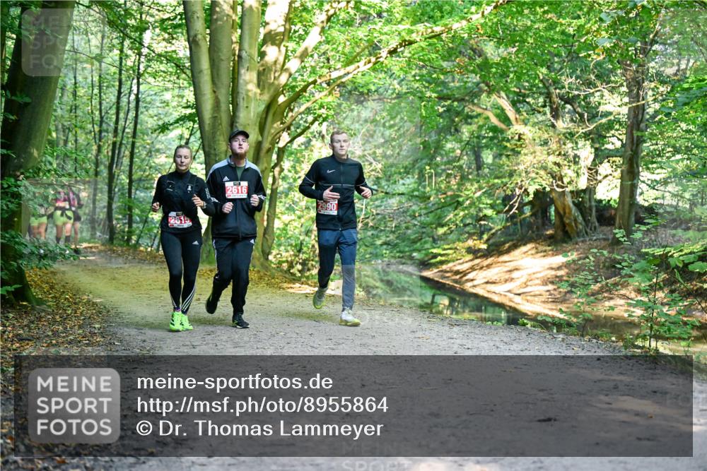 28.09.2025 - 33. Volkslauf durch das schöne Alstertal Dr. Thomas Lammeyer http://msf.ph/oto/8955864 28.09.2025 10:42:58 Laufen 2616, 2990 meine-sportfotos.de