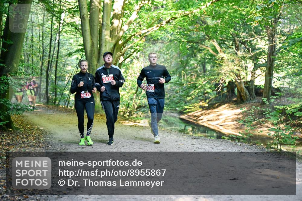 28.09.2025 - 33. Volkslauf durch das schöne Alstertal Dr. Thomas Lammeyer http://msf.ph/oto/8955867 28.09.2025 10:42:59 Laufen 2615, 2616, 2990 meine-sportfotos.de
