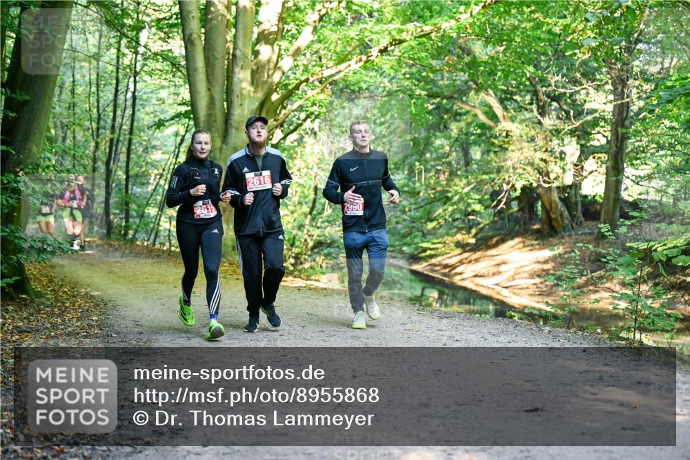 28.09.2025 - 33. Volkslauf durch das schöne Alstertal Dr. Thomas Lammeyer http://msf.ph/oto/8955868 28.09.2025 10:42:59 Laufen 2615, 2616, 2990 meine-sportfotos.de