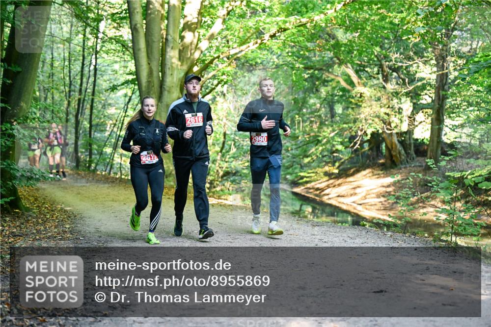 28.09.2025 - 33. Volkslauf durch das schöne Alstertal Dr. Thomas Lammeyer http://msf.ph/oto/8955869 28.09.2025 10:42:59 Laufen 2615, 2616, 2990 meine-sportfotos.de