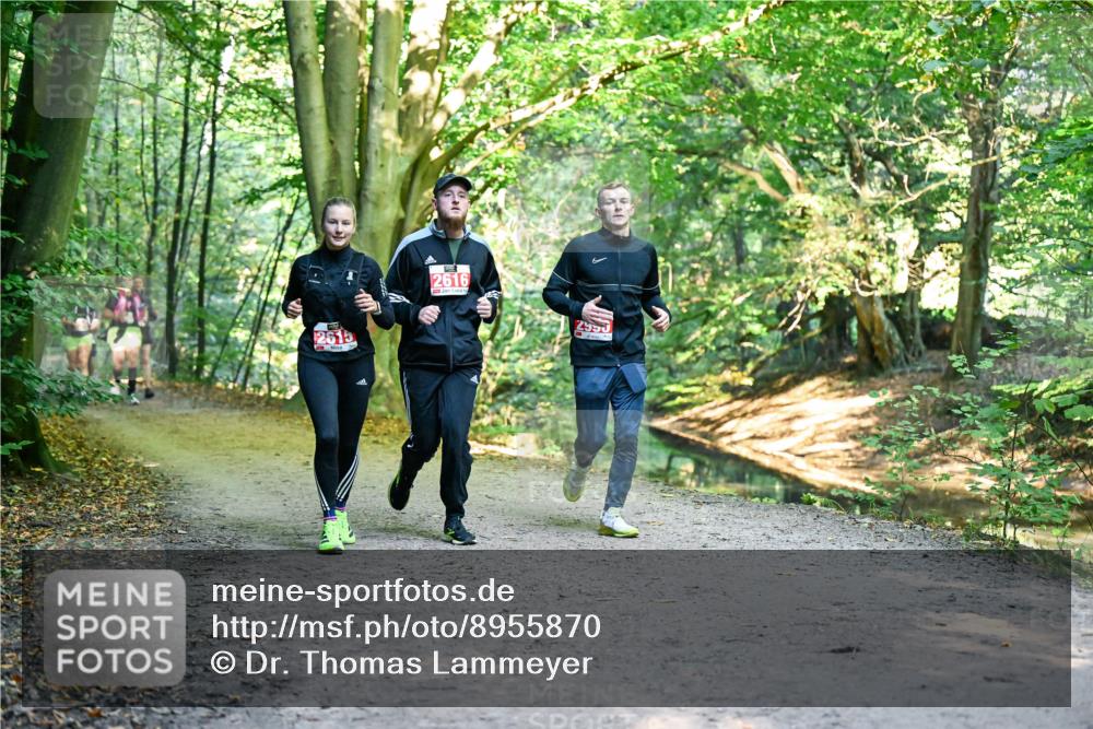 28.09.2025 - 33. Volkslauf durch das schöne Alstertal Dr. Thomas Lammeyer http://msf.ph/oto/8955870 28.09.2025 10:42:59 Laufen 2615, 2616, 2955 meine-sportfotos.de