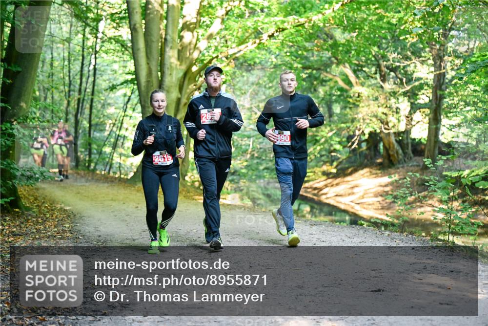 28.09.2025 - 33. Volkslauf durch das schöne Alstertal Dr. Thomas Lammeyer http://msf.ph/oto/8955871 28.09.2025 10:42:59 Laufen 2615, 26, 990 meine-sportfotos.de