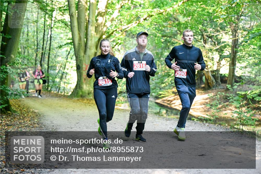 28.09.2025 - 33. Volkslauf durch das schöne Alstertal Dr. Thomas Lammeyer http://msf.ph/oto/8955873 28.09.2025 10:43:00 Laufen 2615, 2616, 2990 meine-sportfotos.de