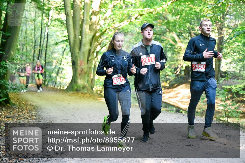 28.09.2025 - 33. Volkslauf durch das schöne Alstertal Dr. Thomas Lammeyer http://msf.ph/oto/8955877 28.09.2025 10:43:00 Laufen 2616, 2990 meine-sportfotos.de