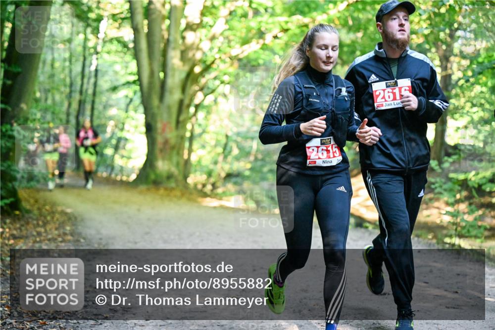 28.09.2025 - 33. Volkslauf durch das schöne Alstertal Dr. Thomas Lammeyer http://msf.ph/oto/8955882 28.09.2025 10:43:01 Laufen 2615, 2615, 1 meine-sportfotos.de
