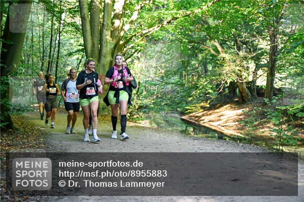 28.09.2025 - 33. Volkslauf durch das schöne Alstertal Dr. Thomas Lammeyer http://msf.ph/oto/8955883 28.09.2025 10:43:06 Laufen 2404, 2566, 2106, 105 meine-sportfotos.de