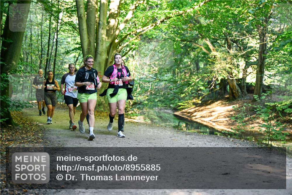 28.09.2025 - 33. Volkslauf durch das schöne Alstertal Dr. Thomas Lammeyer http://msf.ph/oto/8955885 28.09.2025 10:43:06 Laufen 2566, 106, 2105 meine-sportfotos.de