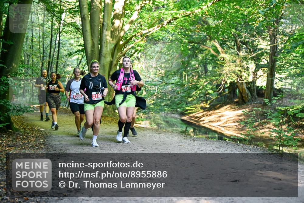 28.09.2025 - 33. Volkslauf durch das schöne Alstertal Dr. Thomas Lammeyer http://msf.ph/oto/8955886 28.09.2025 10:43:06 Laufen 2404, 2566, 2106, 2105 meine-sportfotos.de
