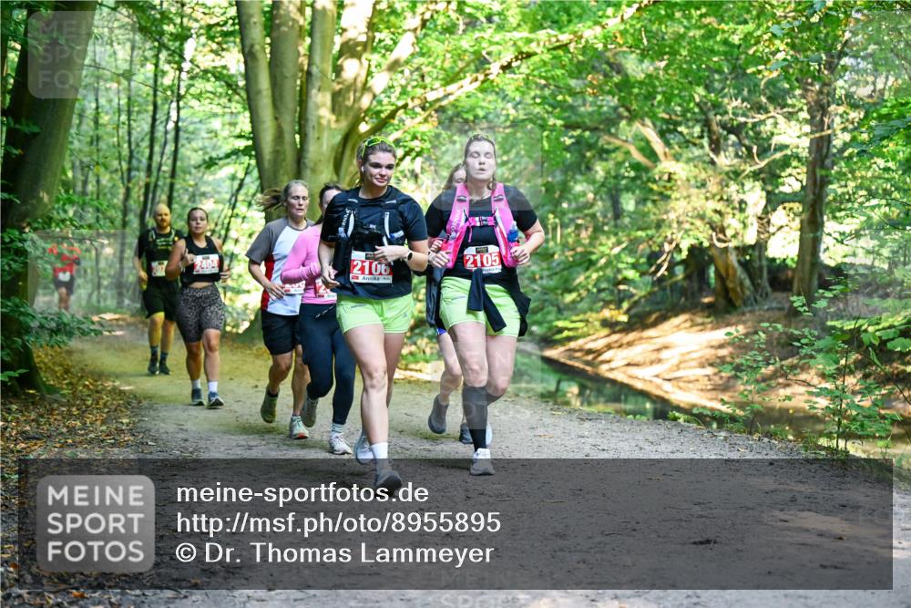 28.09.2025 - 33. Volkslauf durch das schöne Alstertal Dr. Thomas Lammeyer http://msf.ph/oto/8955895 28.09.2025 10:43:07 Laufen 2404, 2106, 2105 meine-sportfotos.de
