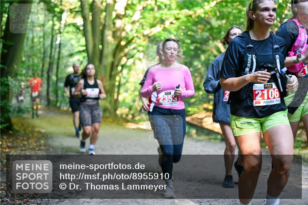 28.09.2025 - 33. Volkslauf durch das schöne Alstertal Dr. Thomas Lammeyer http://msf.ph/oto/8955910 28.09.2025 10:43:09 Laufen 2353, 2106 meine-sportfotos.de
