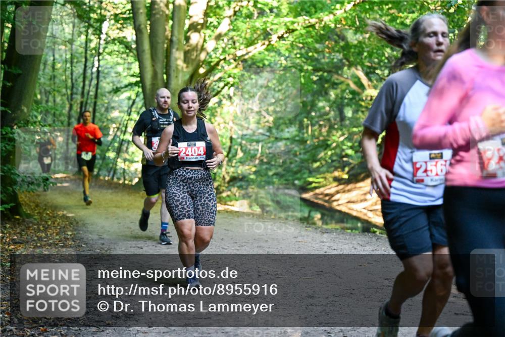 28.09.2025 - 33. Volkslauf durch das schöne Alstertal Dr. Thomas Lammeyer http://msf.ph/oto/8955916 28.09.2025 10:43:10 Laufen 2404, 256 meine-sportfotos.de