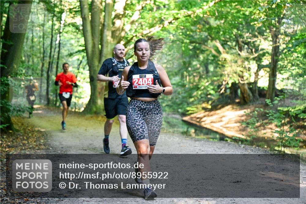 28.09.2025 - 33. Volkslauf durch das schöne Alstertal Dr. Thomas Lammeyer http://msf.ph/oto/8955922 28.09.2025 10:43:11 Laufen 2404 meine-sportfotos.de
