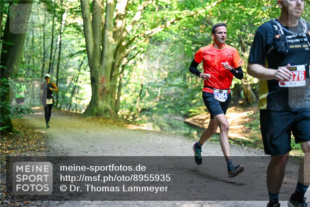 28.09.2025 - 33. Volkslauf durch das schöne Alstertal Dr. Thomas Lammeyer http://msf.ph/oto/8955935 28.09.2025 10:43:13 Laufen 3384, 976 meine-sportfotos.de