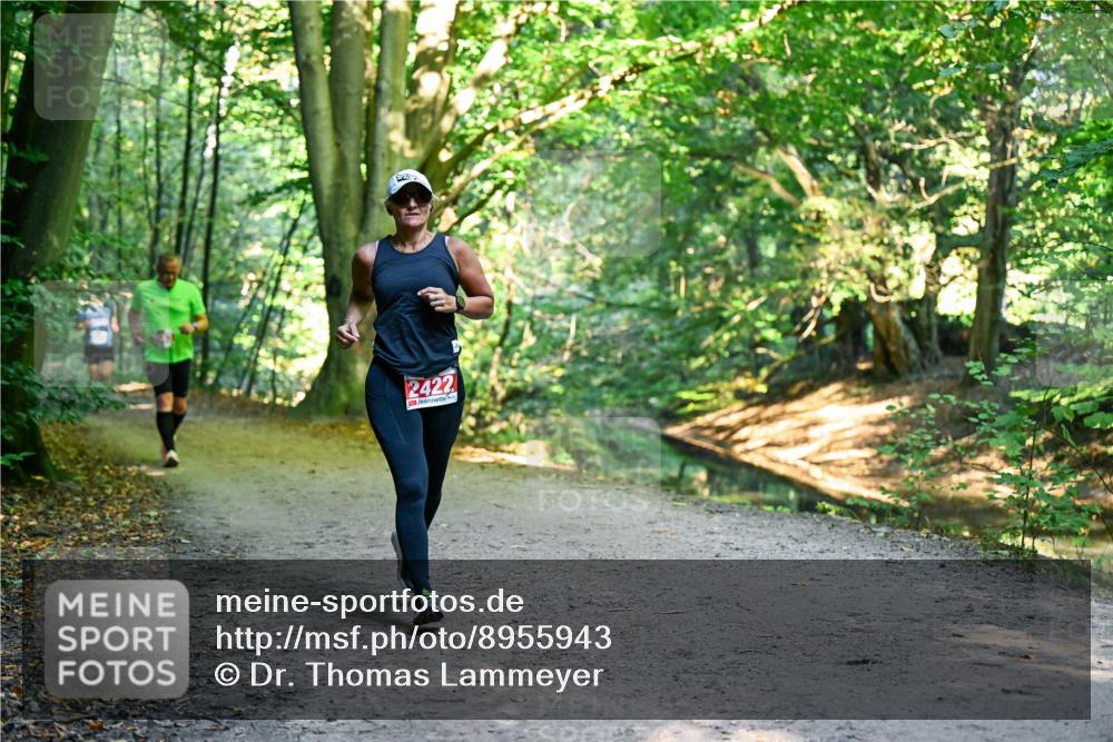 28.09.2025 - 33. Volkslauf durch das schöne Alstertal Dr. Thomas Lammeyer http://msf.ph/oto/8955943 28.09.2025 10:43:17 Laufen 2422 meine-sportfotos.de