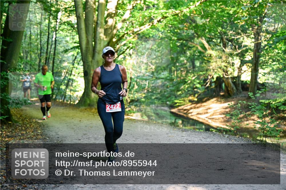 28.09.2025 - 33. Volkslauf durch das schöne Alstertal Dr. Thomas Lammeyer http://msf.ph/oto/8955944 28.09.2025 10:43:17 Laufen 2422 meine-sportfotos.de
