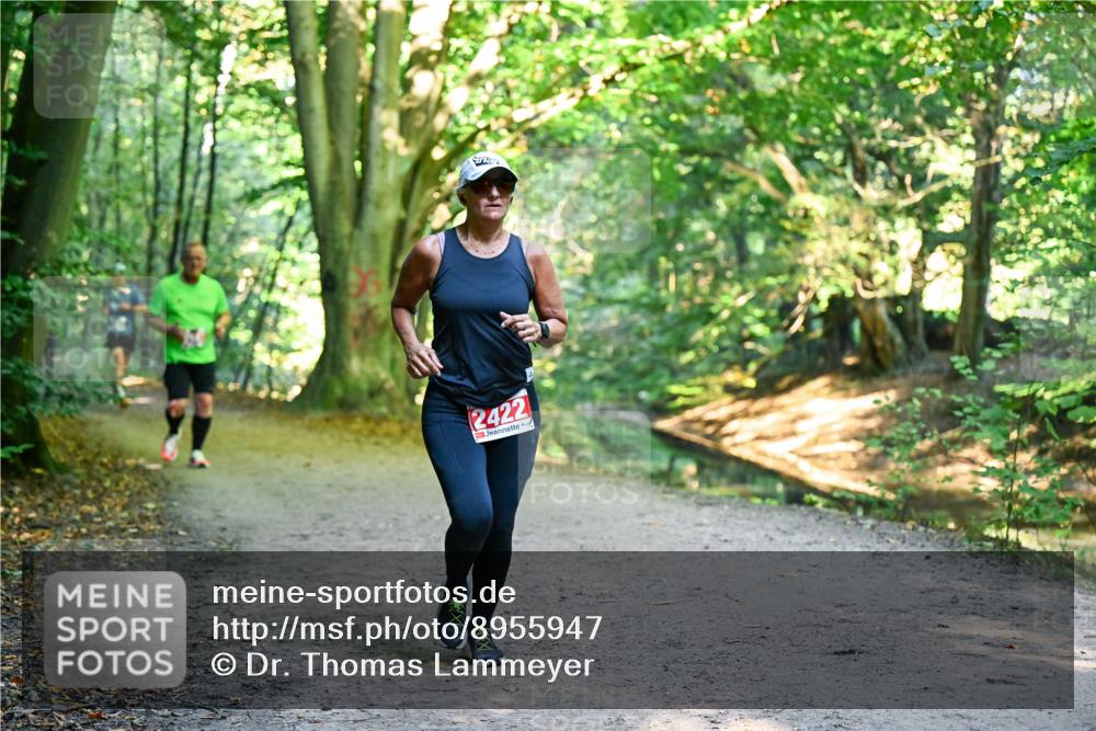 28.09.2025 - 33. Volkslauf durch das schöne Alstertal Dr. Thomas Lammeyer http://msf.ph/oto/8955947 28.09.2025 10:43:18 Laufen 2422 meine-sportfotos.de