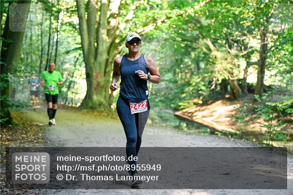 28.09.2025 - 33. Volkslauf durch das schöne Alstertal Dr. Thomas Lammeyer http://msf.ph/oto/8955949 28.09.2025 10:43:18 Laufen 2422 meine-sportfotos.de