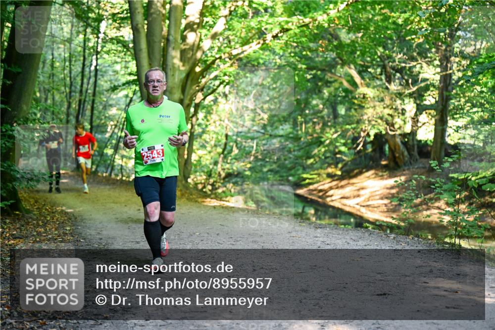 28.09.2025 - 33. Volkslauf durch das schöne Alstertal Dr. Thomas Lammeyer http://msf.ph/oto/8955957 28.09.2025 10:43:21 Laufen 2543 meine-sportfotos.de