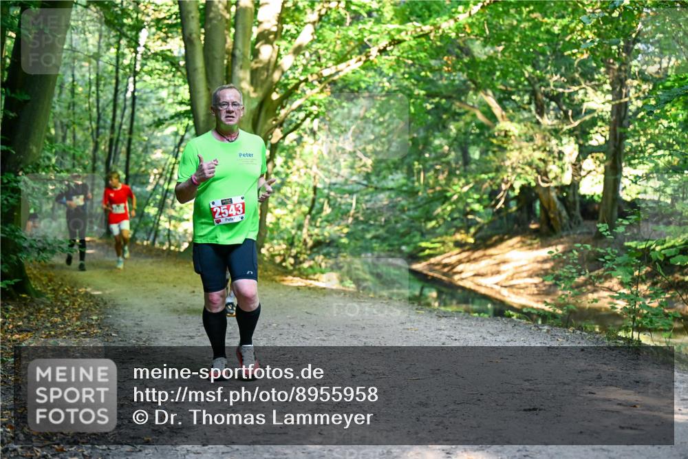 28.09.2025 - 33. Volkslauf durch das schöne Alstertal Dr. Thomas Lammeyer http://msf.ph/oto/8955958 28.09.2025 10:43:21 Laufen 2543 meine-sportfotos.de
