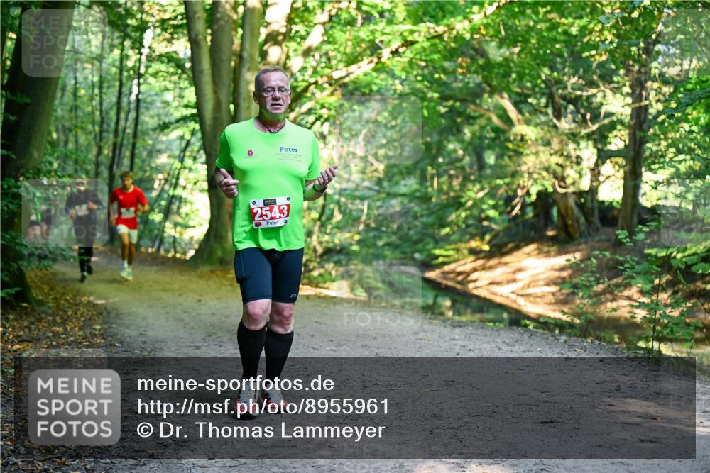 28.09.2025 - 33. Volkslauf durch das schöne Alstertal Dr. Thomas Lammeyer http://msf.ph/oto/8955961 28.09.2025 10:43:22 Laufen 2543 meine-sportfotos.de