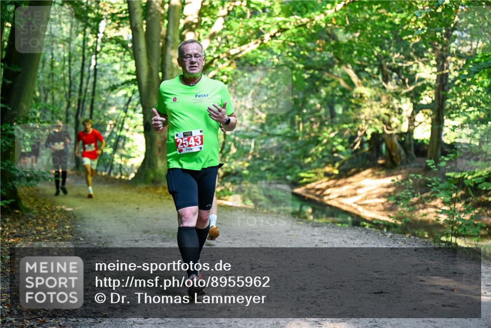 28.09.2025 - 33. Volkslauf durch das schöne Alstertal Dr. Thomas Lammeyer http://msf.ph/oto/8955962 28.09.2025 10:43:22 Laufen 2543 meine-sportfotos.de
