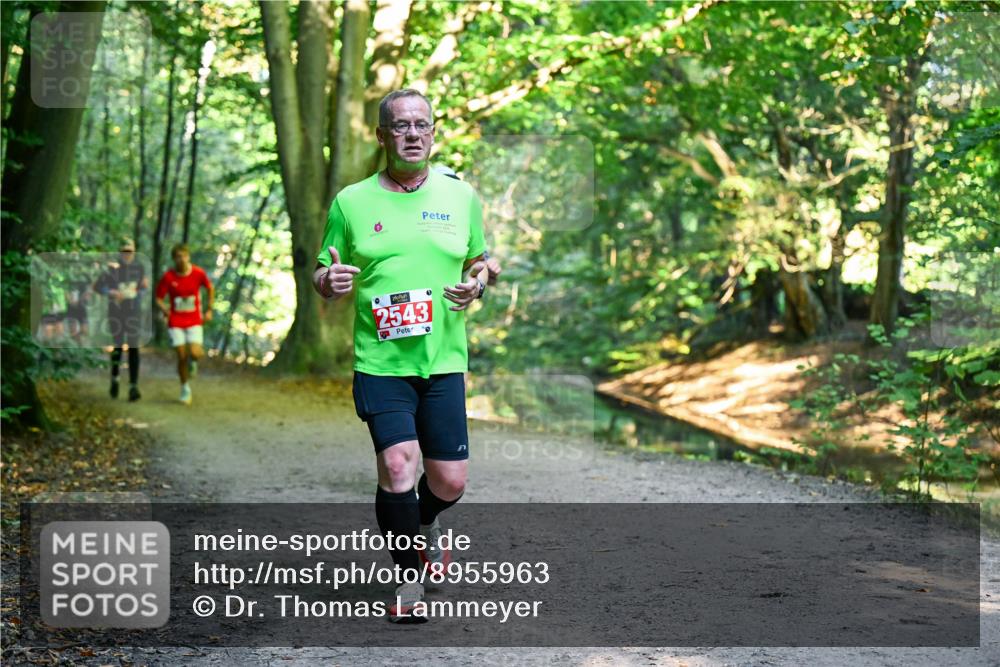 28.09.2025 - 33. Volkslauf durch das schöne Alstertal Dr. Thomas Lammeyer http://msf.ph/oto/8955963 28.09.2025 10:43:22 Laufen 2543, 0, 0 meine-sportfotos.de
