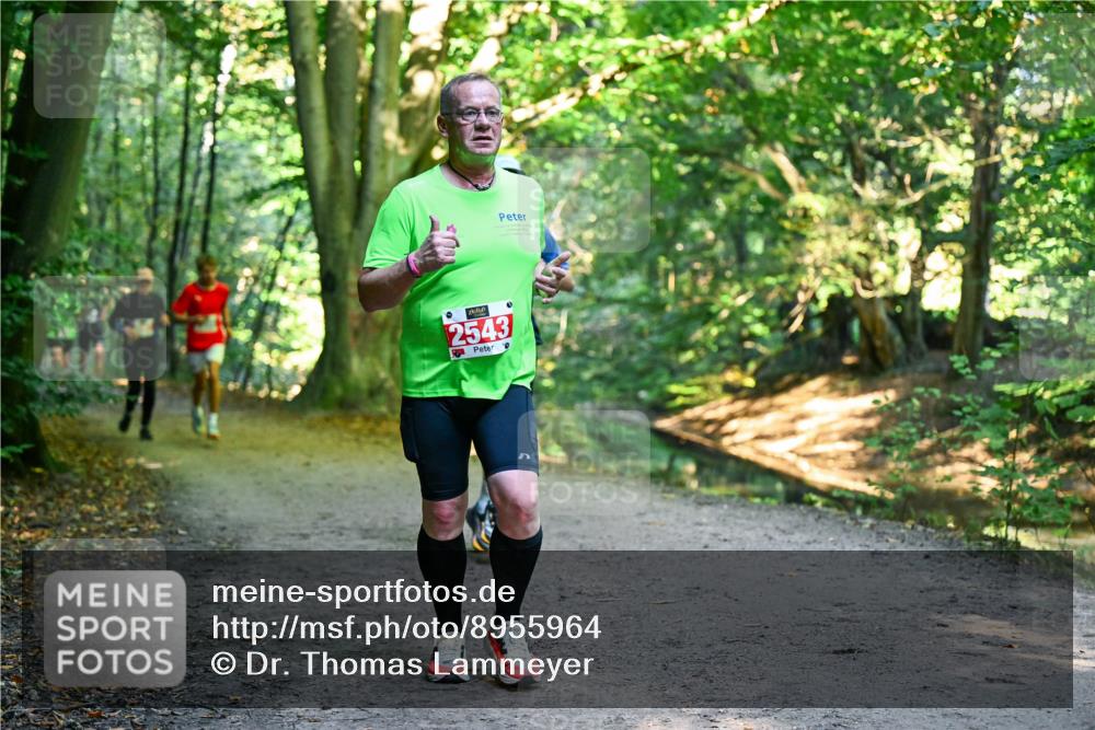 28.09.2025 - 33. Volkslauf durch das schöne Alstertal Dr. Thomas Lammeyer http://msf.ph/oto/8955964 28.09.2025 10:43:22 Laufen 2543 meine-sportfotos.de