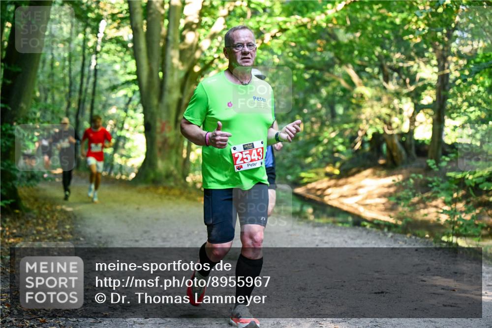 28.09.2025 - 33. Volkslauf durch das schöne Alstertal Dr. Thomas Lammeyer http://msf.ph/oto/8955967 28.09.2025 10:43:22 Laufen 2543 meine-sportfotos.de