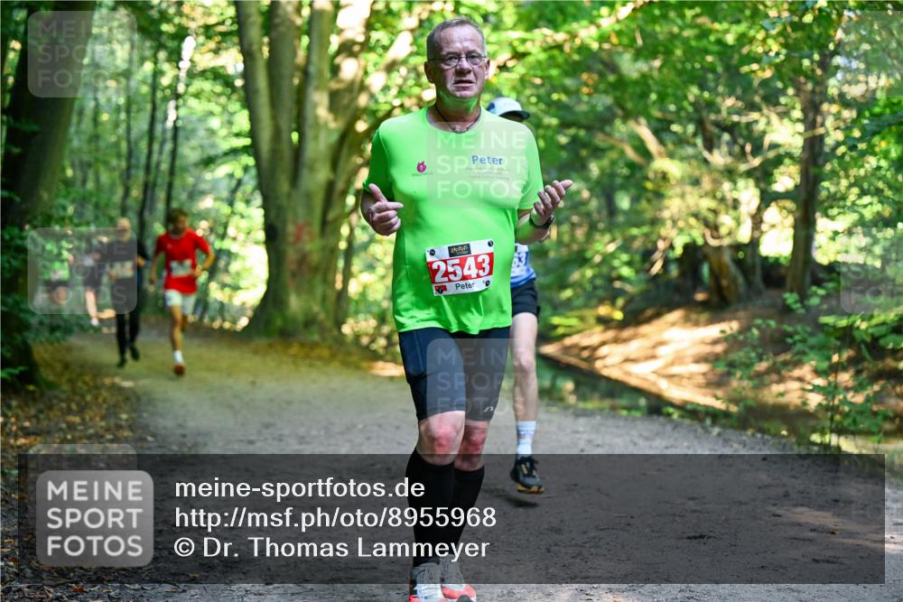28.09.2025 - 33. Volkslauf durch das schöne Alstertal Dr. Thomas Lammeyer http://msf.ph/oto/8955968 28.09.2025 10:43:22 Laufen 2025, 2543 meine-sportfotos.de
